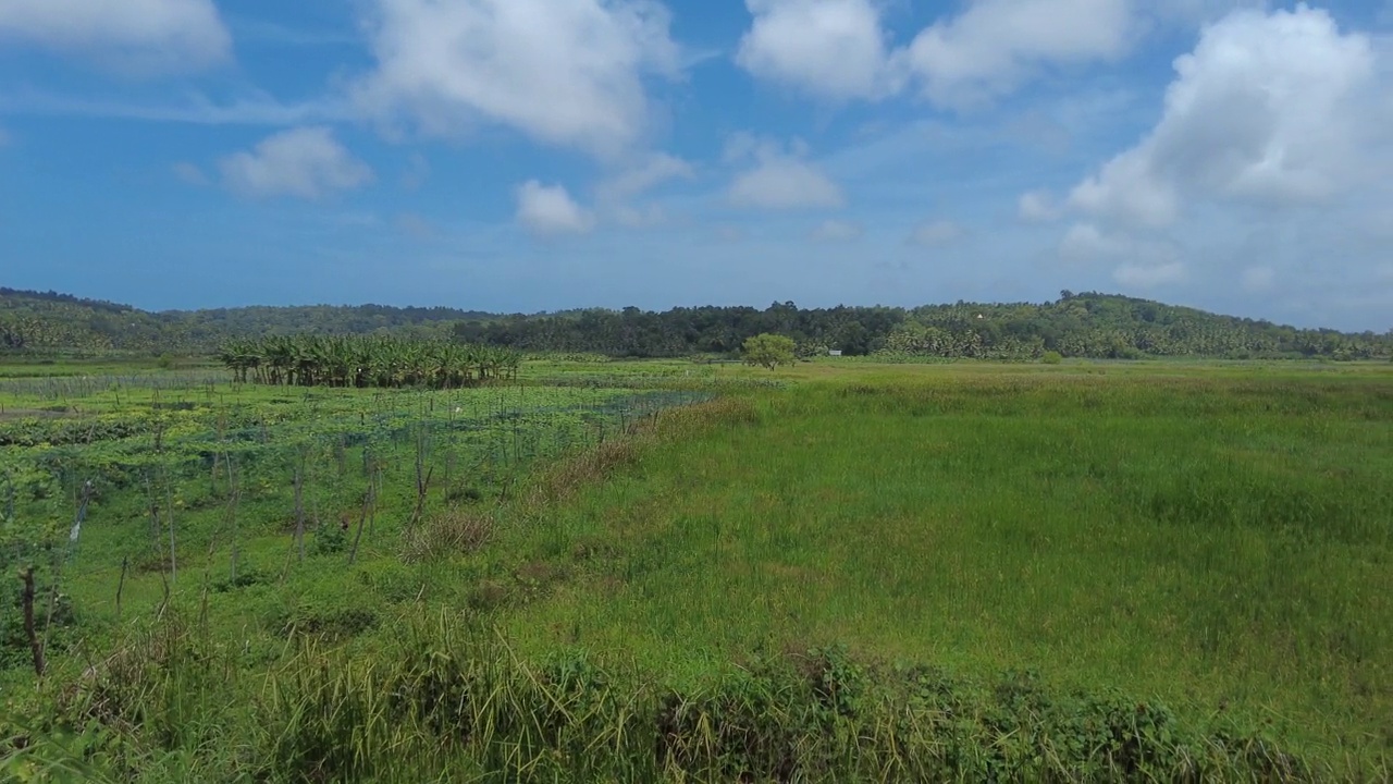 喀拉拉邦Thiruvananthapuram的Punchakkari湿地和农田视频素材