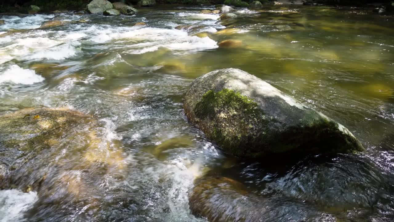 在早晨的阳光下，水流向岩石视频素材