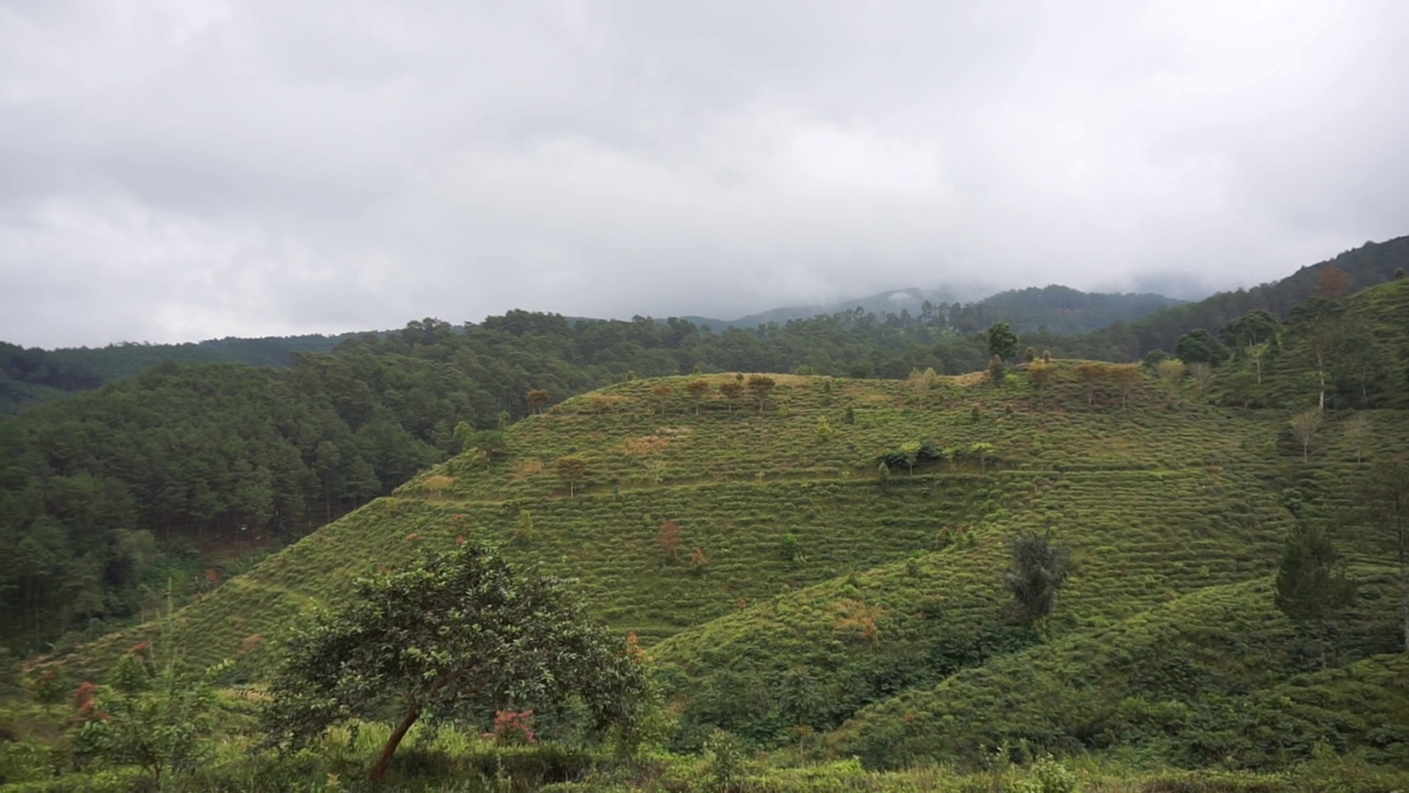 美丽的山地自然风光丘陵自然全景，有高大的绿树森林和绿色的山坡在多云的蓝天下视频素材