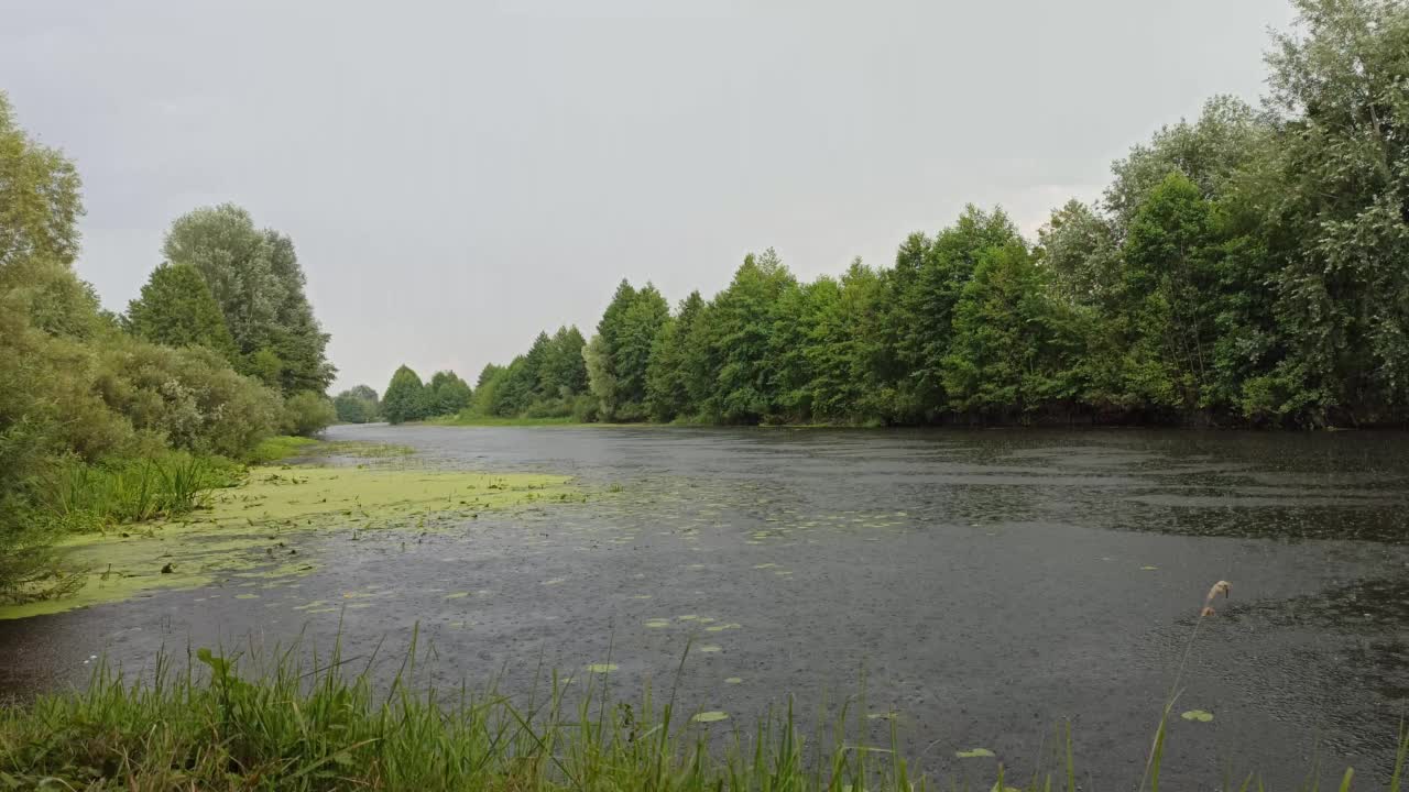 雨点落在水面上。下雨时水滴落在河面上视频下载