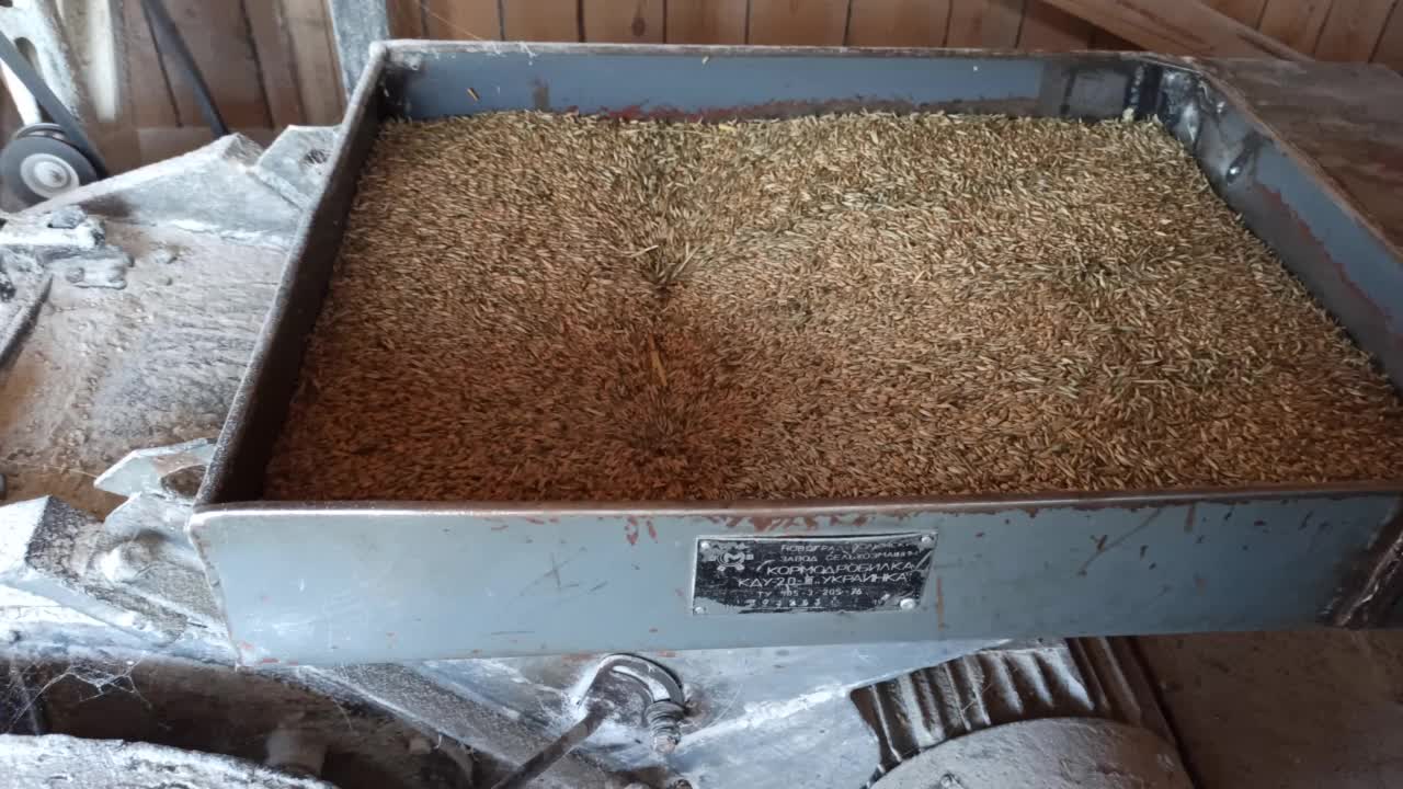 加工小麦制面粉食品行业。农村工业轧机。粉磨视频素材