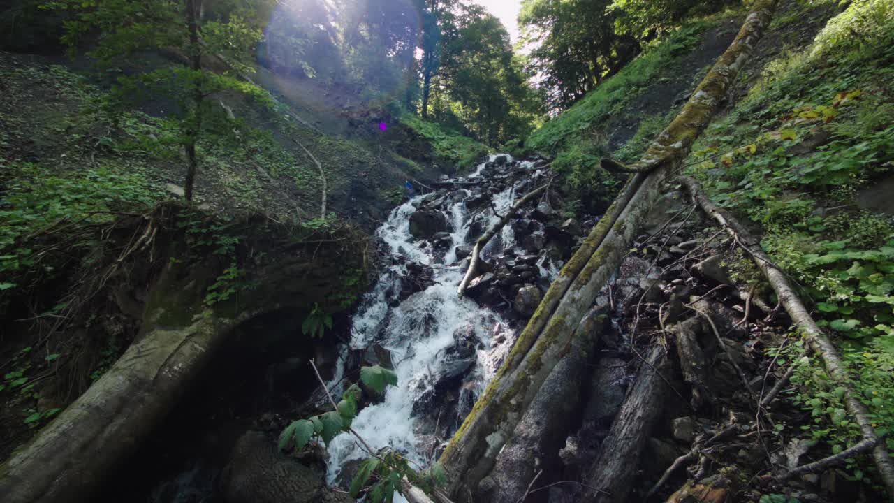 山涧穿过树根、倒下的树木和石头，顺着山坡流下来。冰冷的小溪长满青苔的岩石。冷溪岩石上的绿色苔藓。浮雕是加拿大、美国、欧洲和俄罗斯中部地区常见的浮雕视频下载