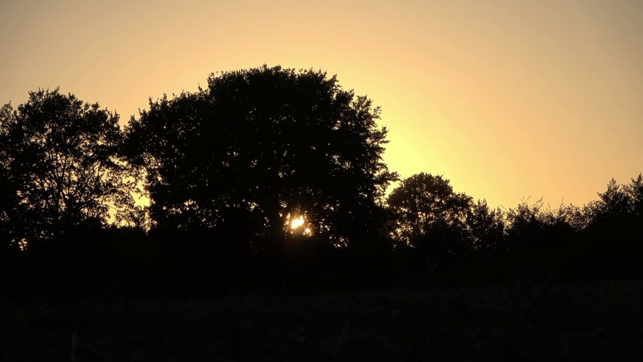 橘黄色的夕阳在一些树的剪影后面的时间流逝。视频素材