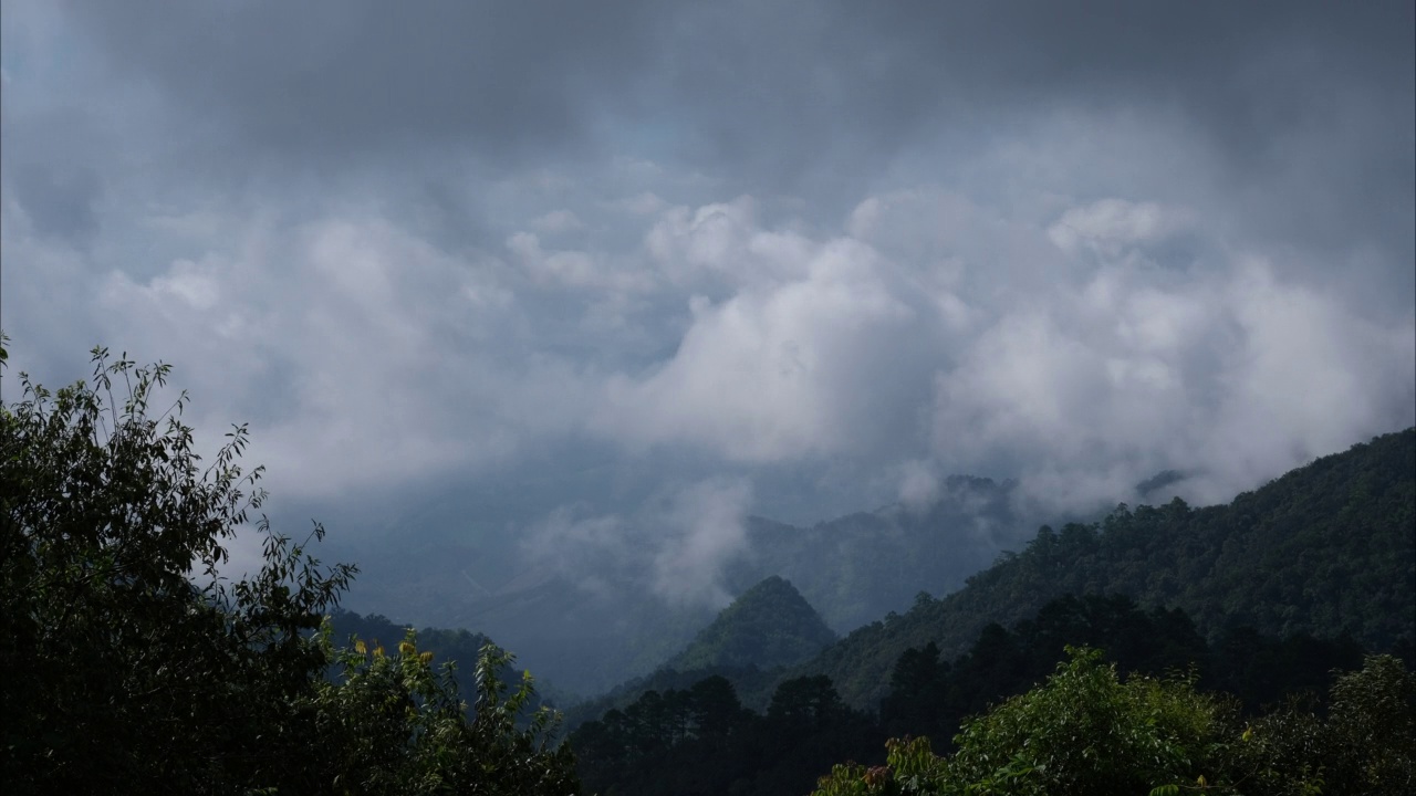 清晨热带山脉上雾海的鸟瞰图。泰国的层峦叠嶂。动态的自然景观背景。视频素材