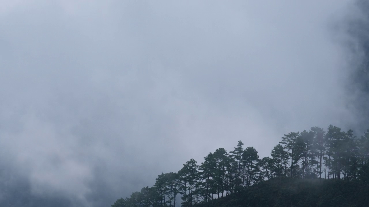 清晨热带山脉上雾海的鸟瞰图。泰国的层峦叠嶂。动态的自然景观背景。视频素材