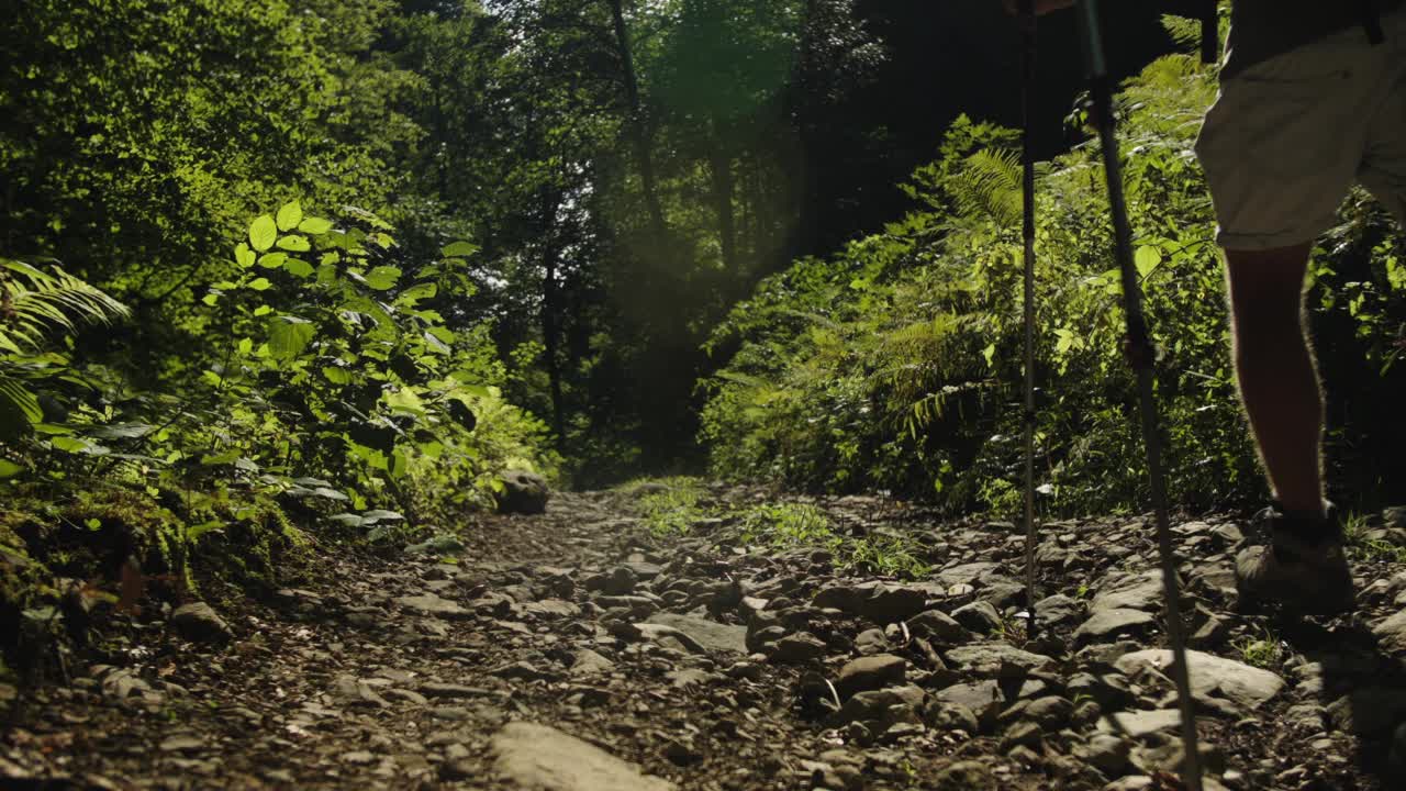 特写徒步旅行者的脚在运动鞋移动上狭窄的石径上坡。道路穿过有高大松树的森林。运动鞋可以保护运动员的脚不因在岩石表面运动而受伤视频下载