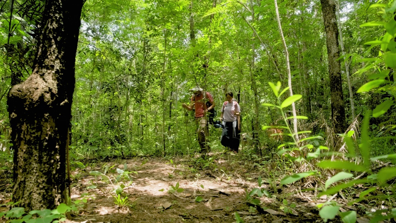 亚洲家庭徒步旅行者背着双肩包和他们的狗狗一起在森林小径散步，家人一起放松和在户外度过时光，健康的生活方式，冒险和探索自然视频素材