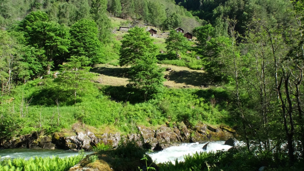 挪威美丽的风景。Vestland。在阳光明媚的夏日里，木屋屋顶有草、瀑布和森林的美丽风景。4K超高清59,94fps ProRes 422 HQ 10位视频素材