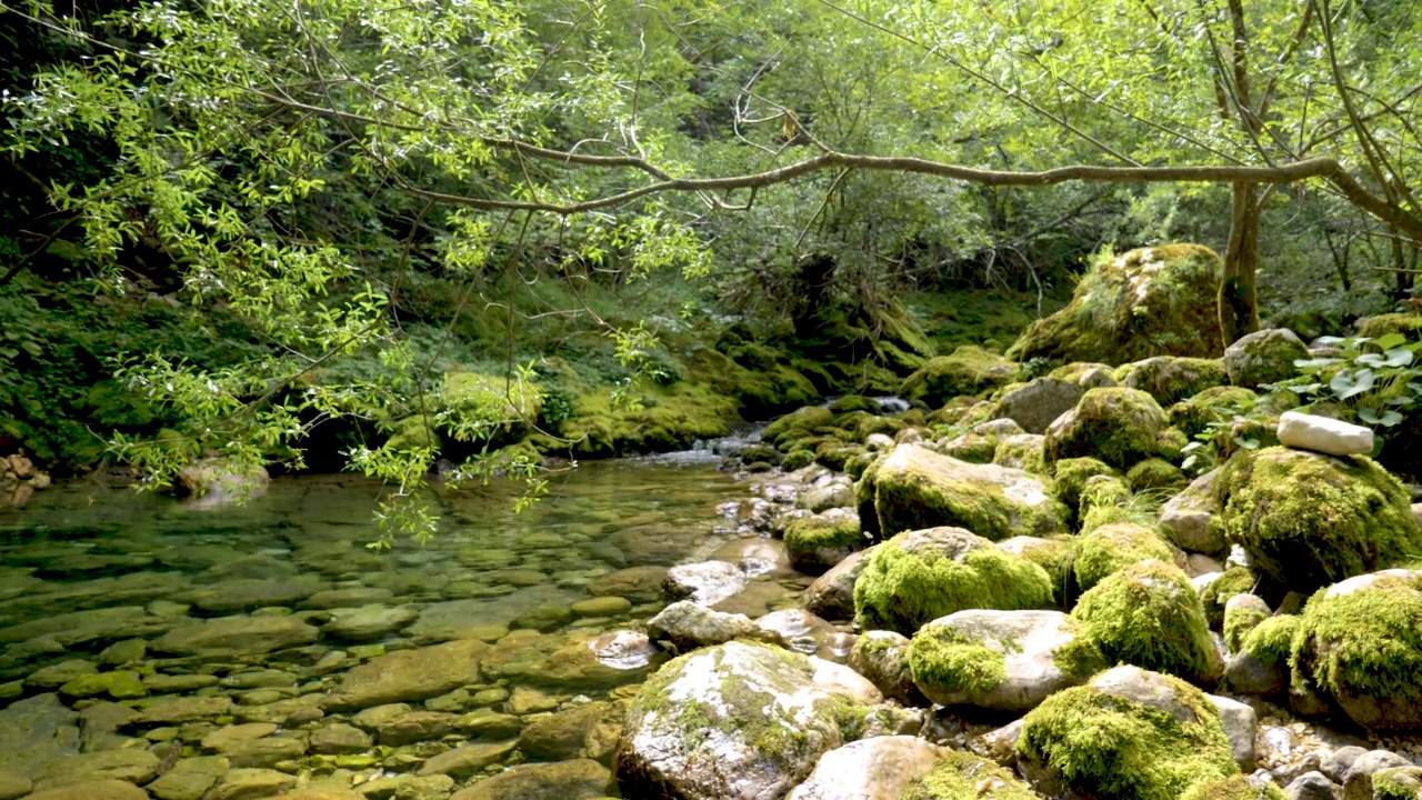 河流流过绿色的山谷视频素材