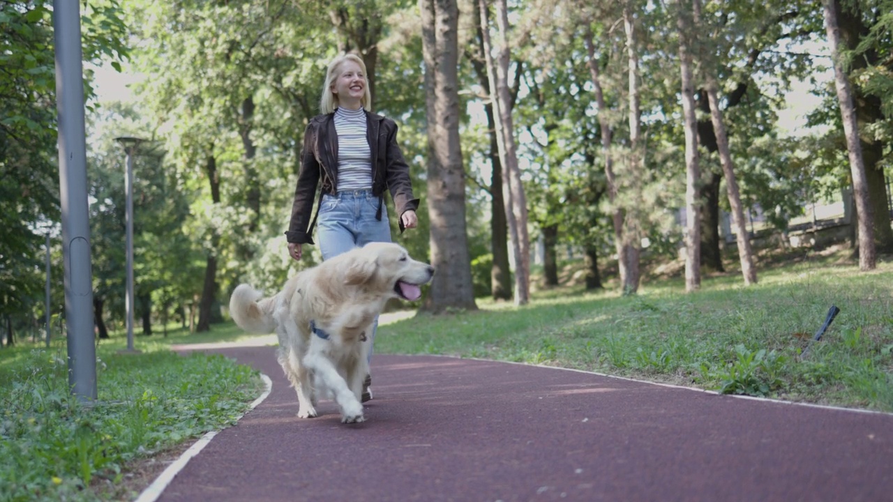 面目全非的主人和金毛猎犬一起在公园散步视频素材