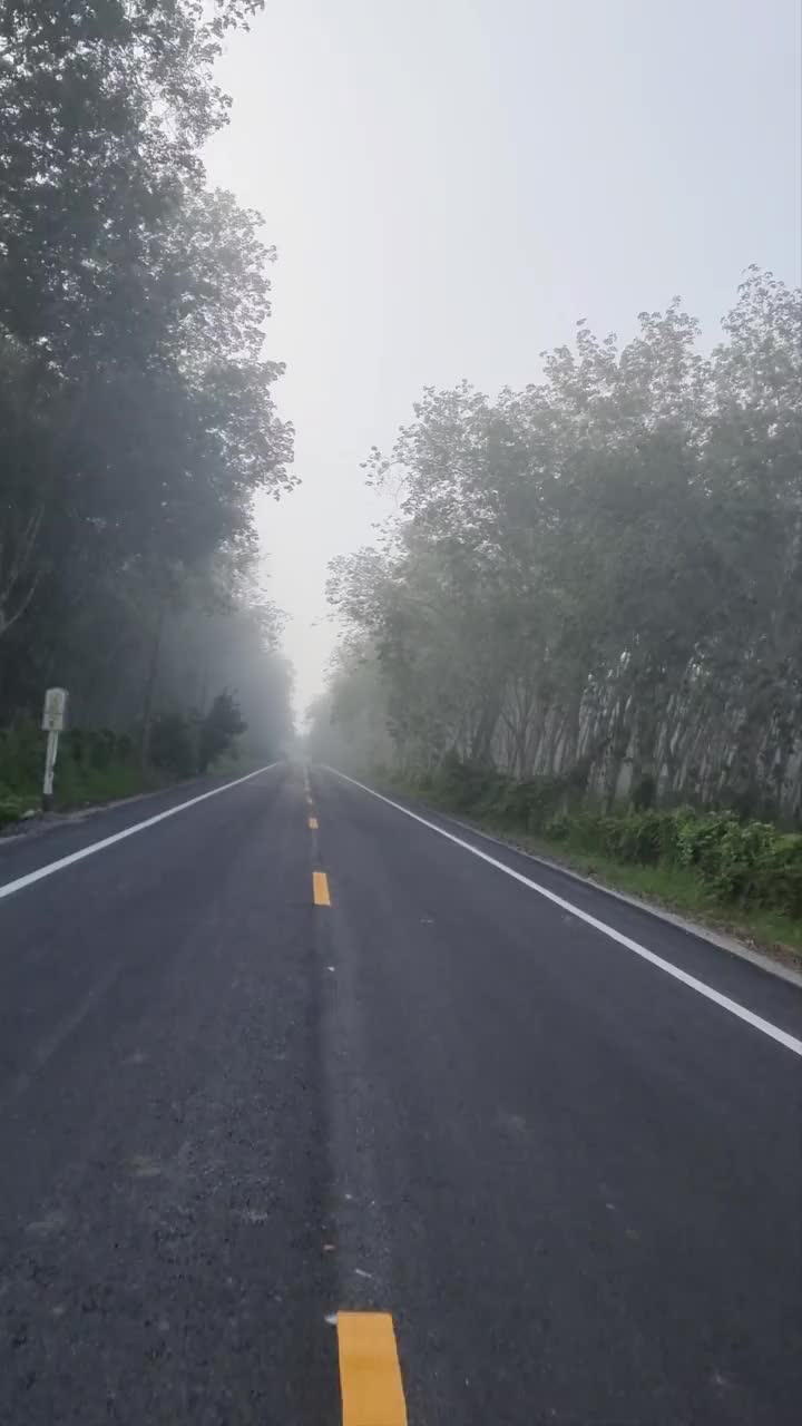 在泰国的一条乡间小路上开车，一路上，大雾弥漫，几乎看不见东西。视频素材