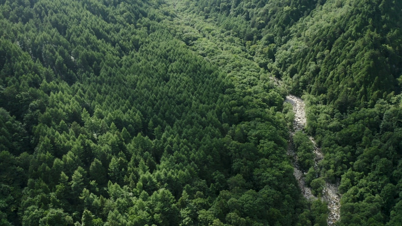 4k无人机拍摄-日本阿尔卑斯山北部，约能山附近。日本长野,视频素材