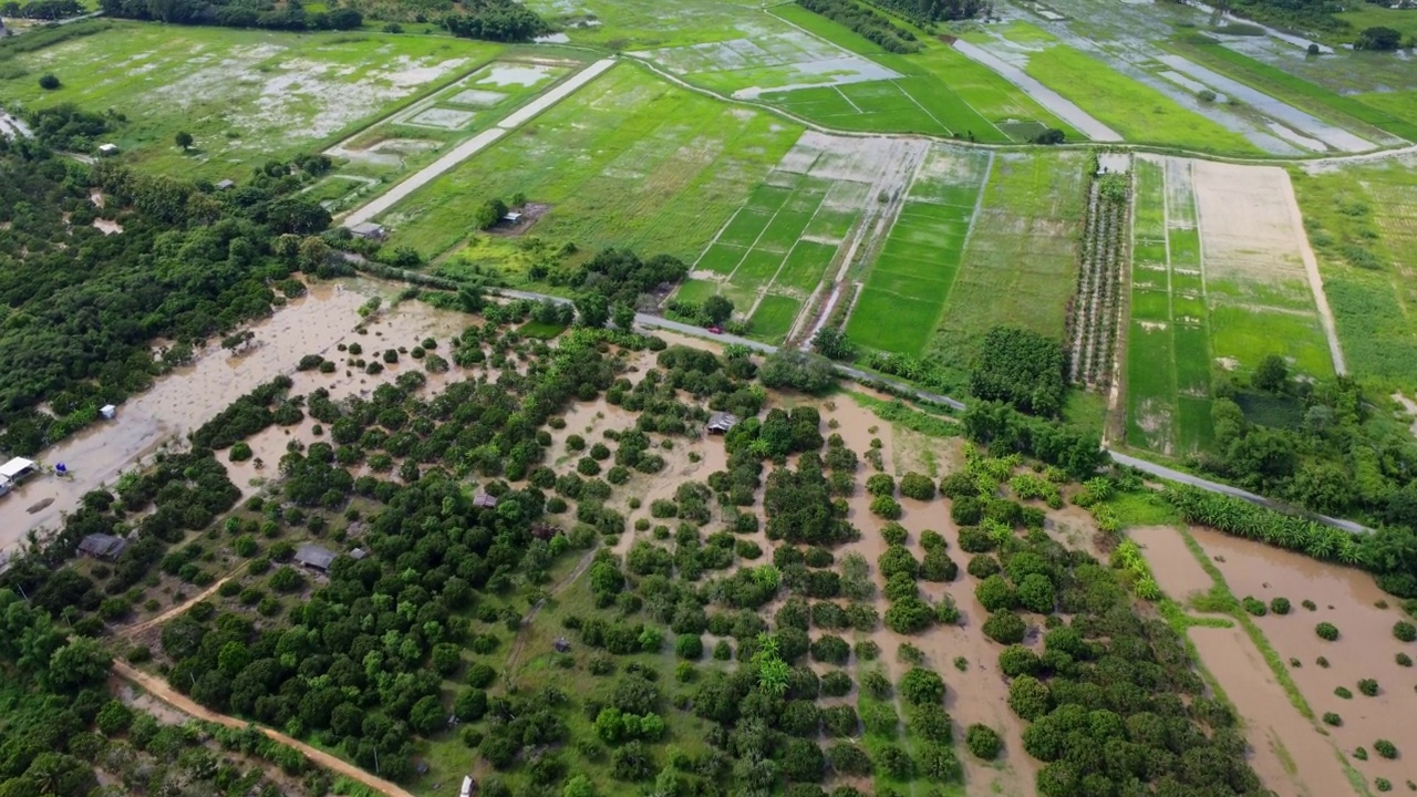 受雨季洪水影响的稻田或农业地区的鸟瞰图。滂沱大雨和洪水淹没农田后泛滥的河流俯视图。视频素材