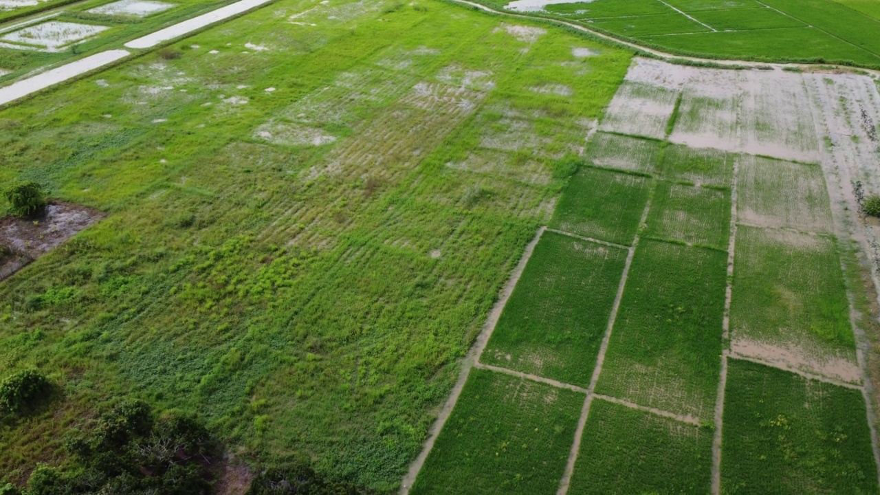 受雨季洪水影响的稻田或农业地区的鸟瞰图。滂沱大雨和洪水淹没农田后泛滥的河流俯视图。视频素材