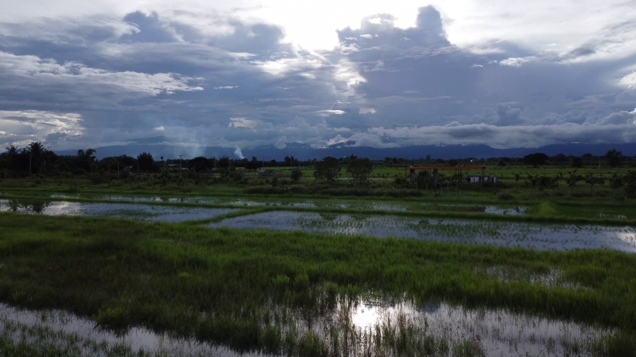 受雨季洪水影响的稻田或农业地区的鸟瞰图。滂沱大雨和洪水淹没农田后泛滥的河流俯视图。视频素材