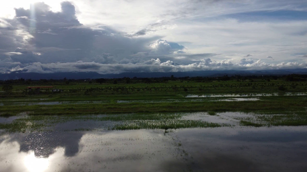 受雨季洪水影响的稻田或农业地区的鸟瞰图。滂沱大雨和洪水淹没农田后泛滥的河流俯视图。视频素材