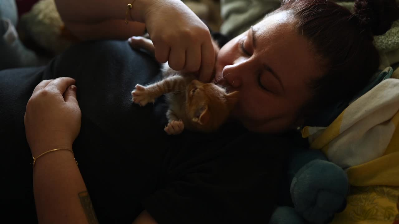 妇女在家休息，和小猫玩耍视频下载