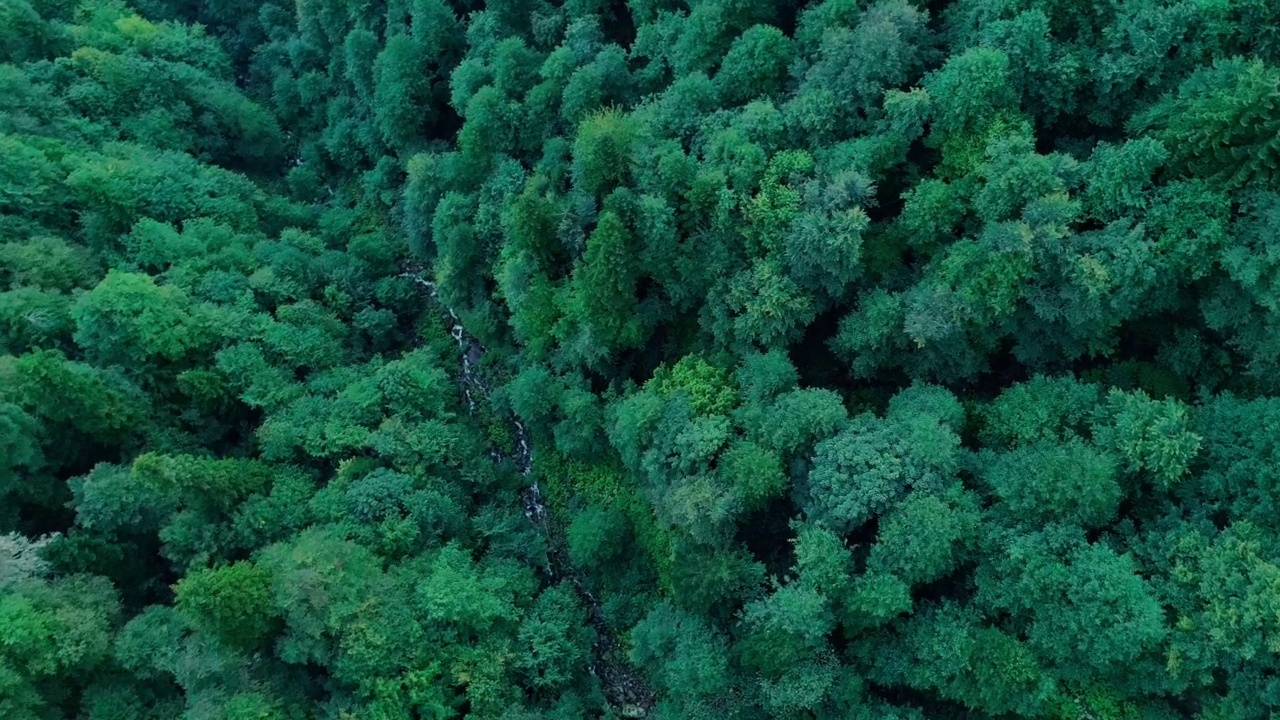 摄像机360度旋转在山上的瀑布覆盖着绿色的针叶林。北欧原始森林的无人机美景视频下载