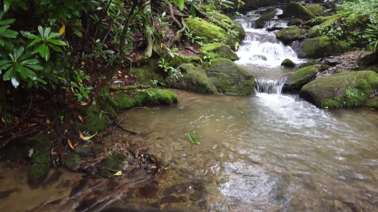 树间露出小瀑布视频素材