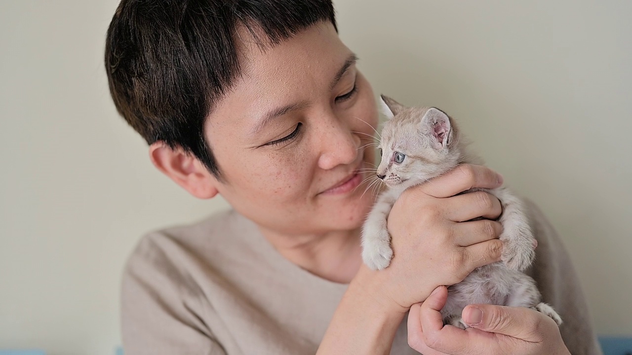 女性爱猫人士领养了一只猫视频素材