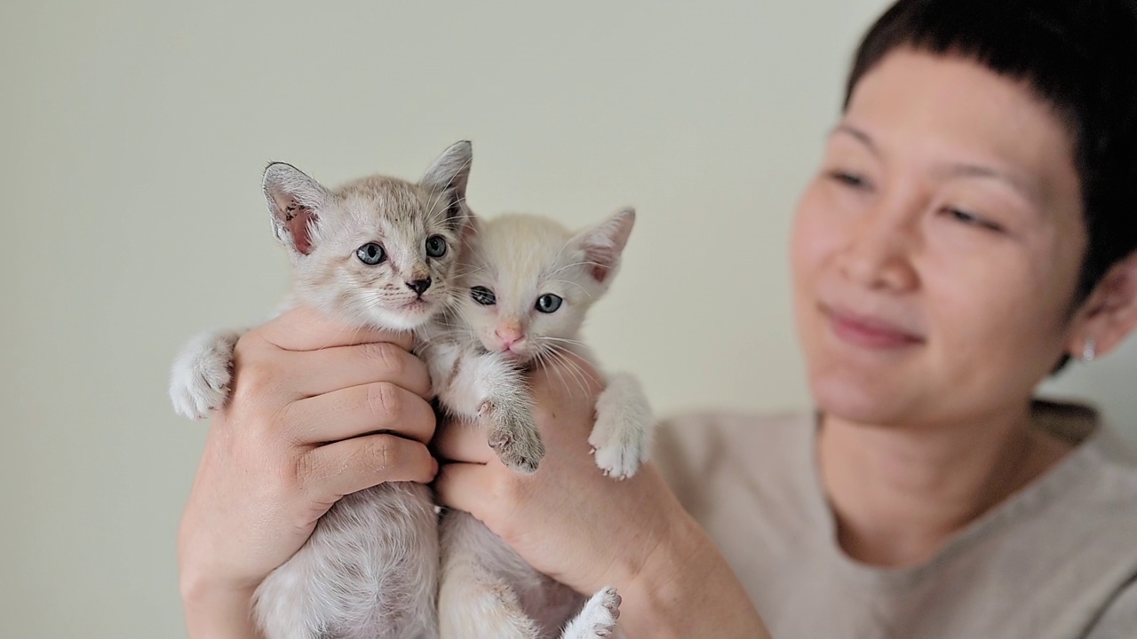 爱宠物的女人和她的猫视频素材