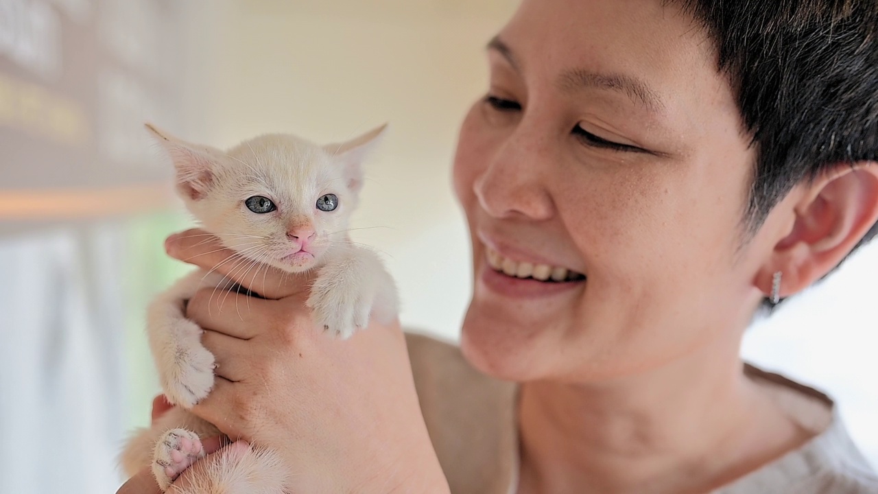 爱宠物的女人和她的猫视频素材