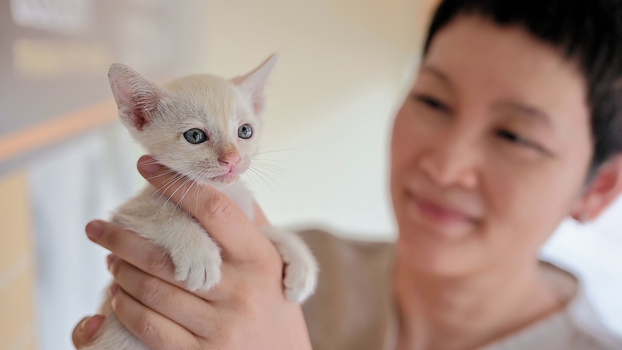 爱宠物的女人和她的猫视频素材