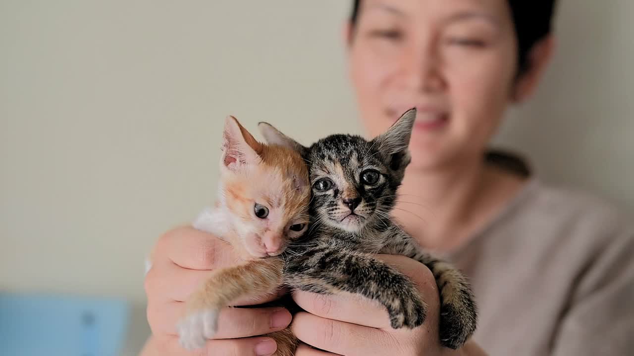 爱宠物的女人和她的猫视频素材