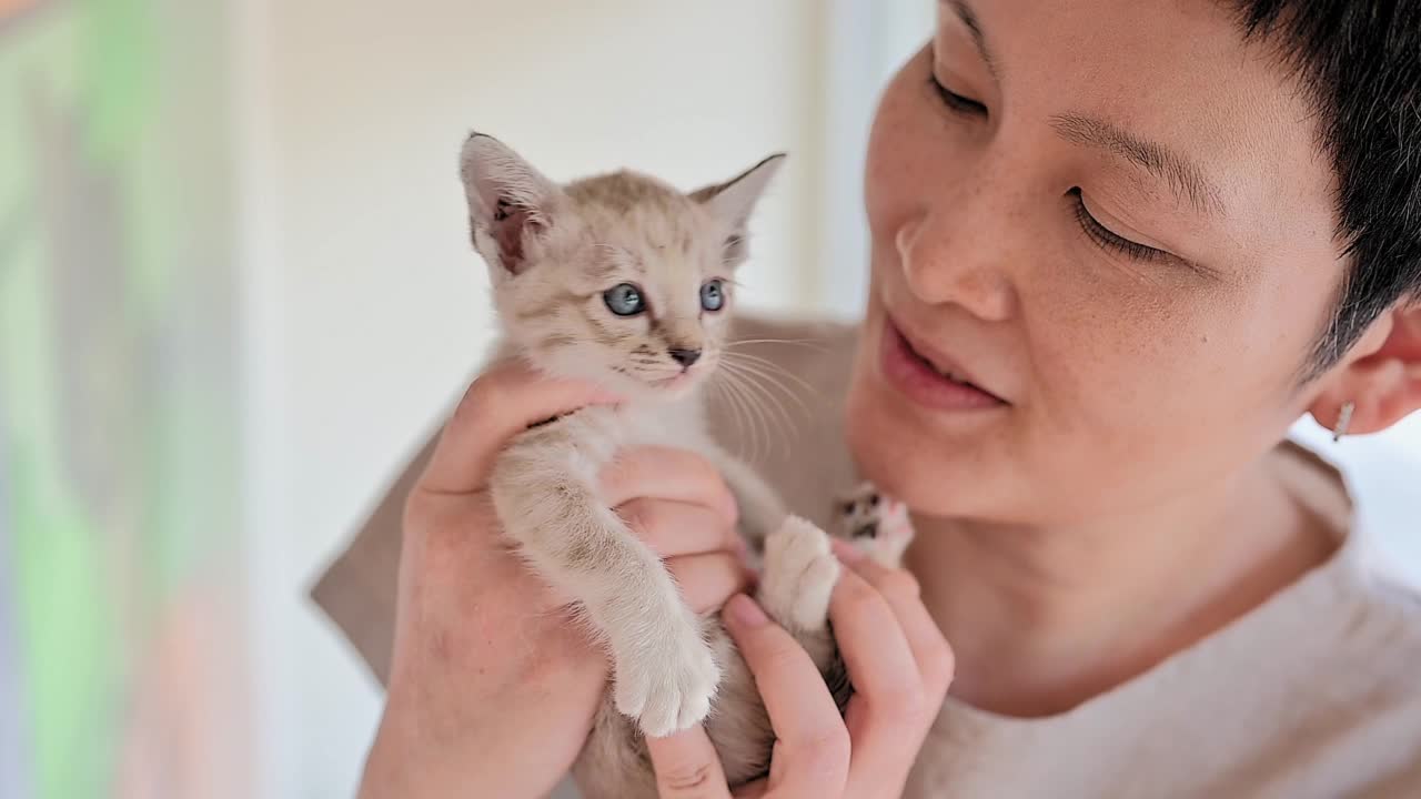 爱宠物的女人和她的猫视频素材