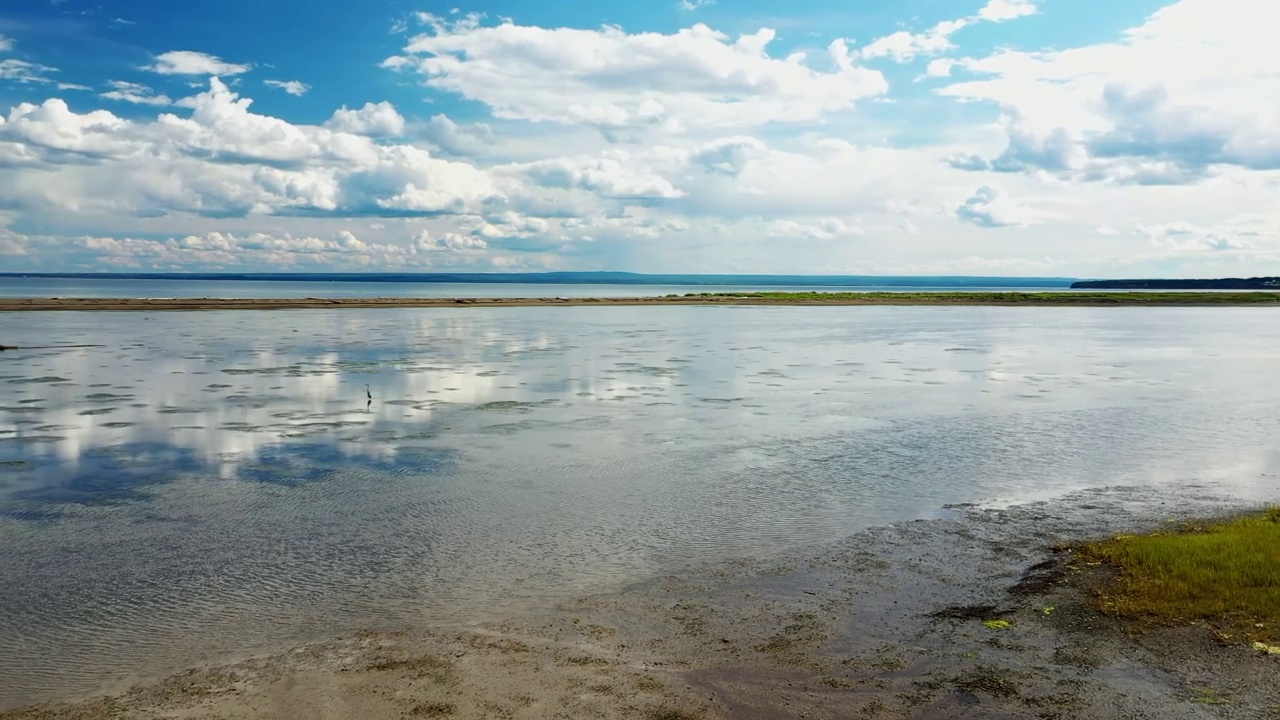 空中无人机视频，从右到左旋转，低空，在水面上，在加斯皮西湾Carleton sur mer的Carleton de la Grande Envolee公园岸边的苍鹭附近视频素材