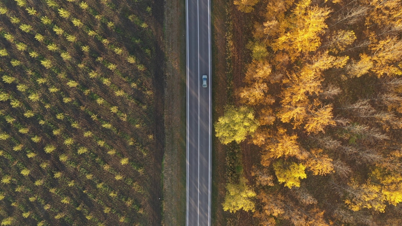 从上到下的无人机镜头，各种汽车行驶在高速公路通过落叶森林景观在秋天的季节秋天颜色的树叶视频素材