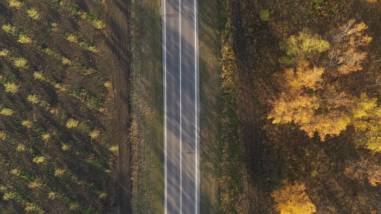 无人机从上到下拍摄到一辆白色汽车沿着高速公路穿过落叶林地视频素材