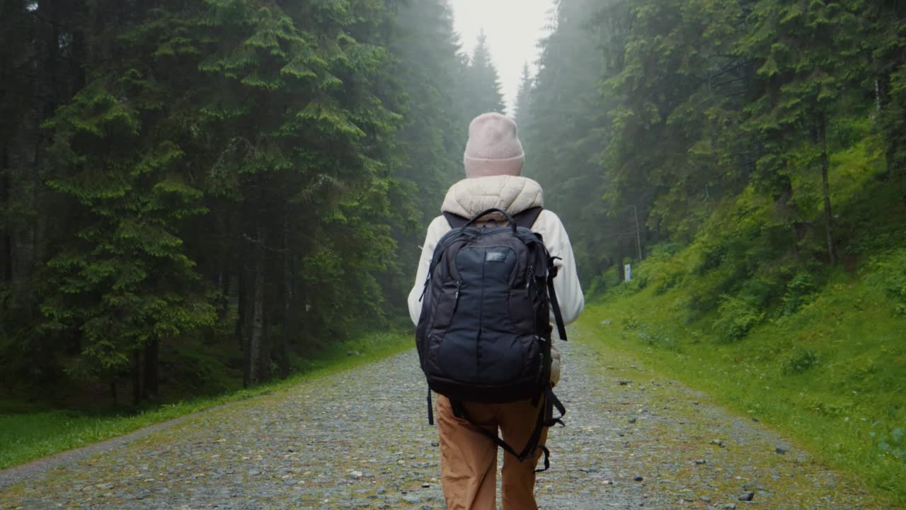 背面的女徒步旅行者漫步在雾蒙蒙的树林。视频素材