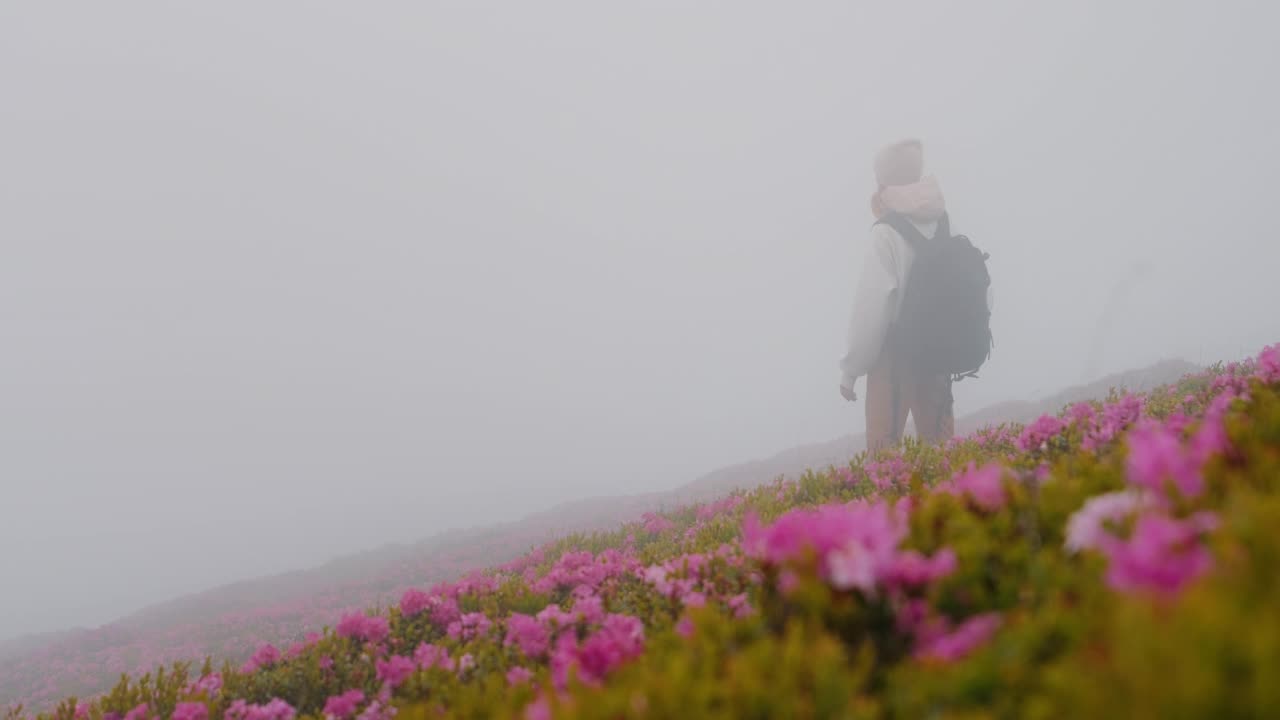 浓雾中背着背包的女子走在山里。视频素材