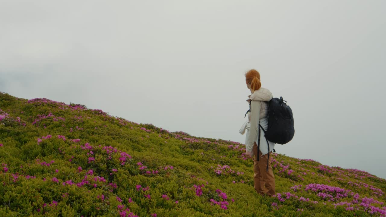 女旅行者到达杜鹃花田雾蒙蒙的背景旋转和微笑。视频素材