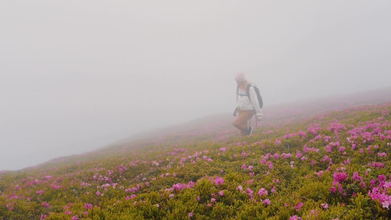 艰难攀登的女探险家在雾蒙蒙的山区。视频素材