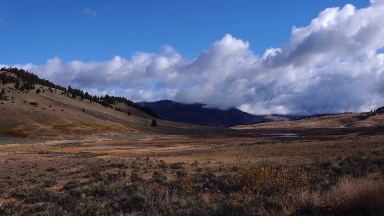 微风习习的风景，拉马尔山谷，黄石公园视频素材