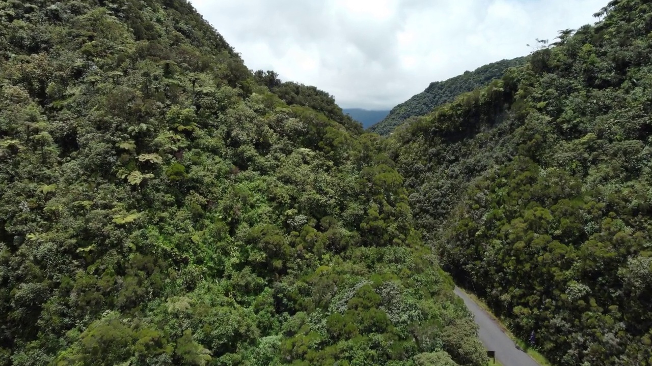 留尼旺岛上的山和树冠视频素材