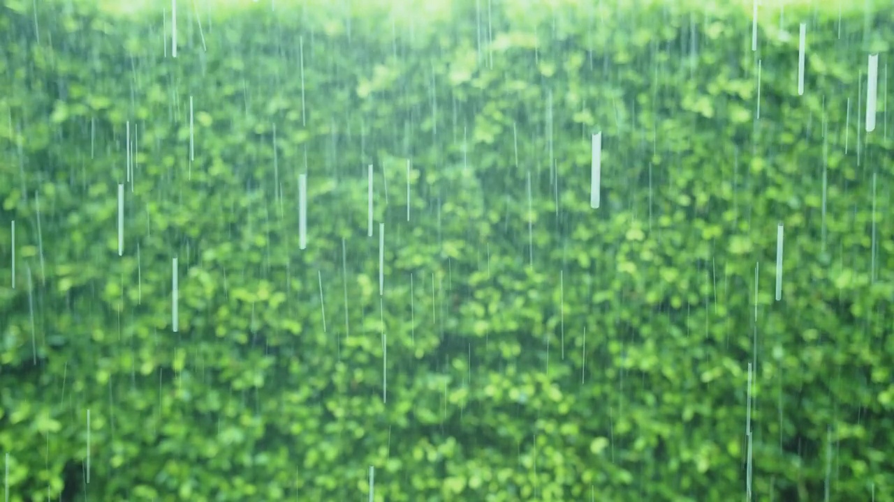 大雨落下的小水滴，与美丽的模糊的软bokeh绿色自然背景在一个雨天视频素材