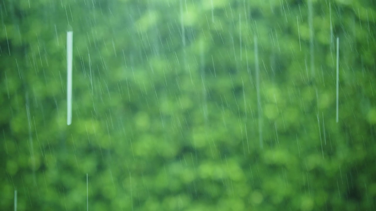 大雨落下的小水滴，与美丽的模糊的软bokeh绿色自然背景在一个雨天视频素材