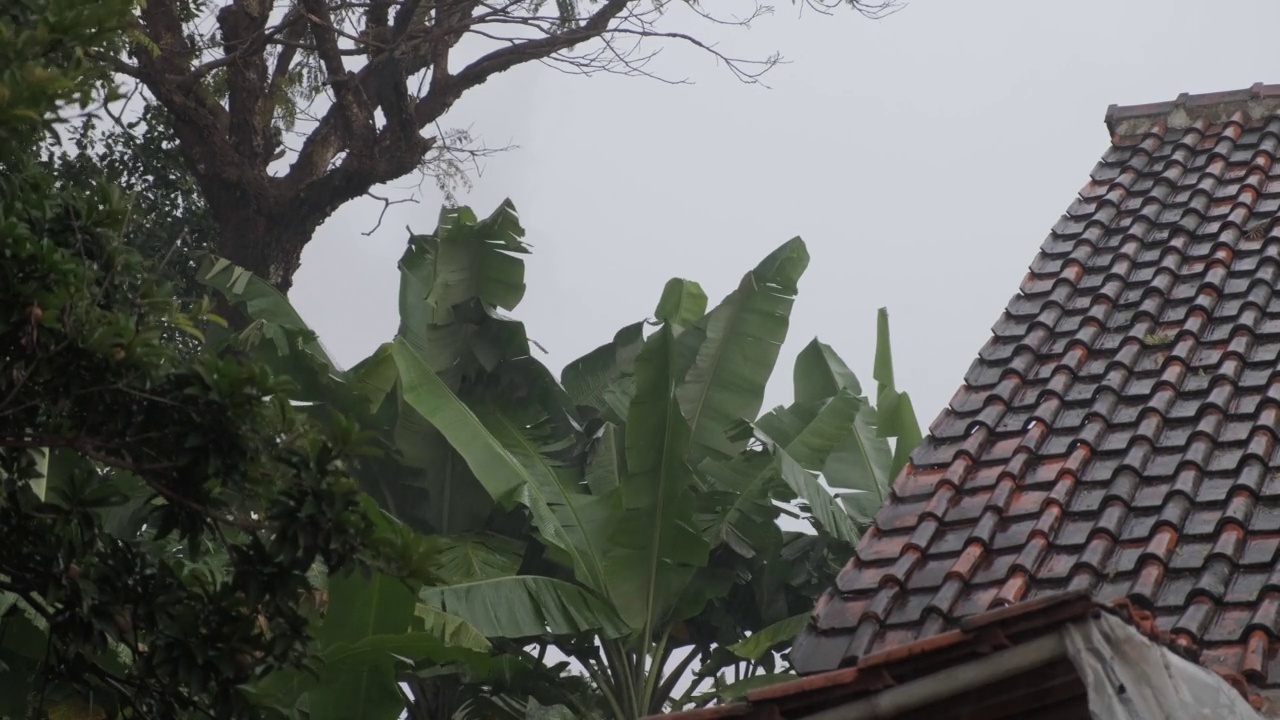 大雨视频素材