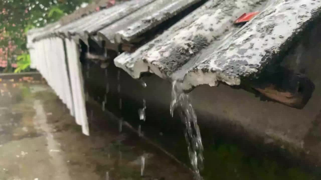 大雨视频下载