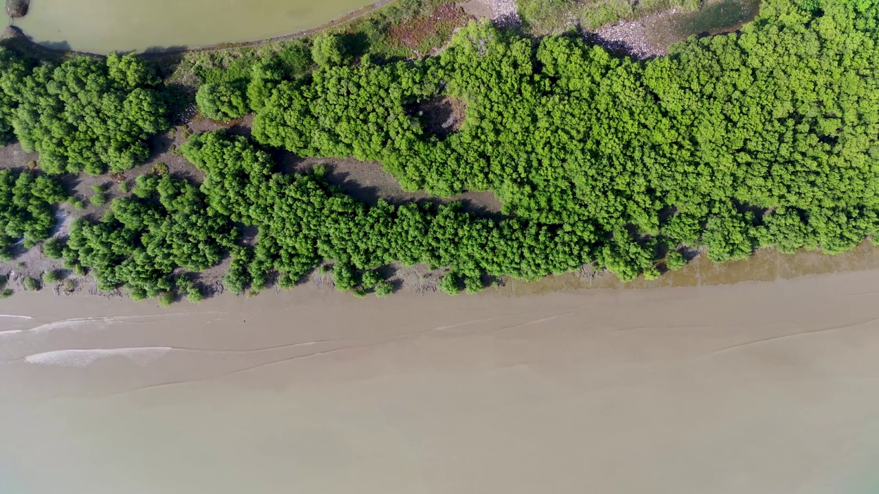 航拍的红树林在浑浊的大海和海浪的撞击。无人机视频4 k视频素材