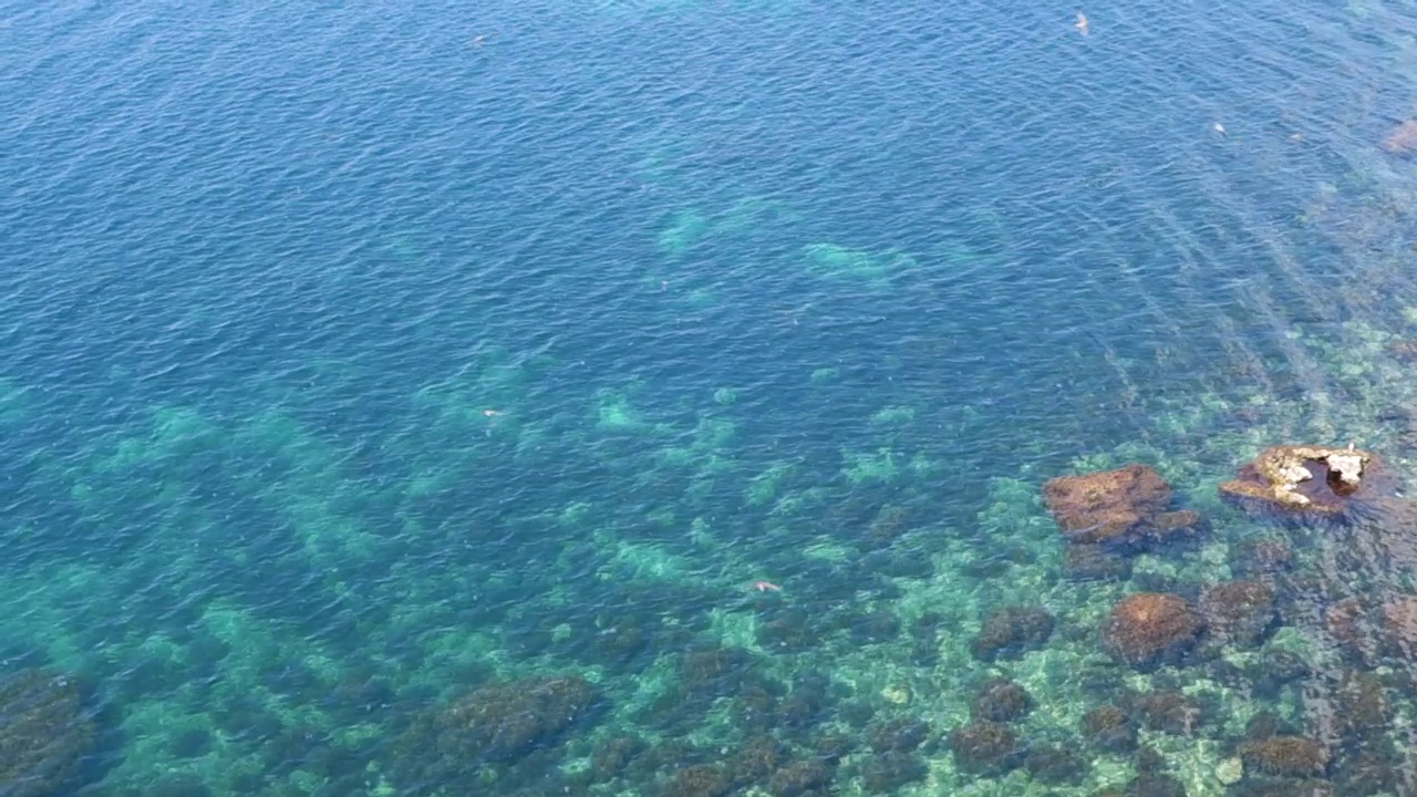 燕子在碧蓝海水清澈的海面上飞翔，还有许多水母视频下载