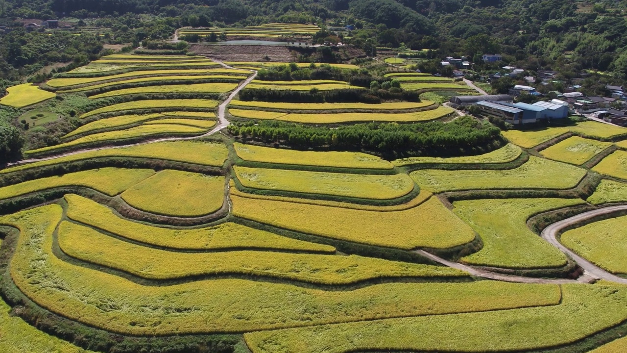 韩国全罗南道古礼郡山东郡萨波村的梯田秋景视频素材