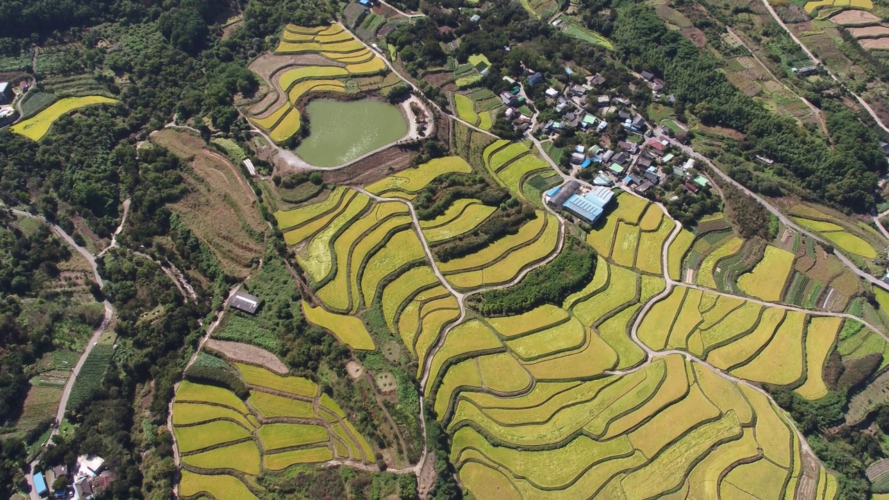 韩国全罗南道古礼郡山东郡萨波村的梯田秋景视频素材