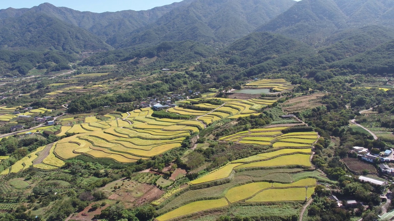 韩国全罗南道古礼郡山东郡萨波村的梯田秋景视频素材