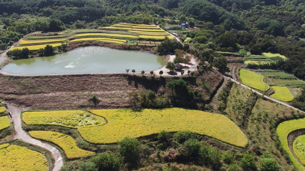 韩国全罗南道古礼郡山东郡萨波村的梯田秋景视频素材