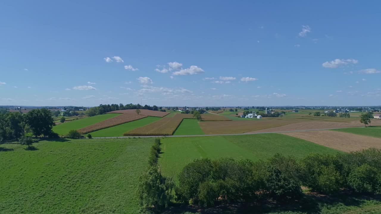 鸟瞰玉米和紫花苜蓿田与阿米什马和马车在乡村道路上旅行视频素材