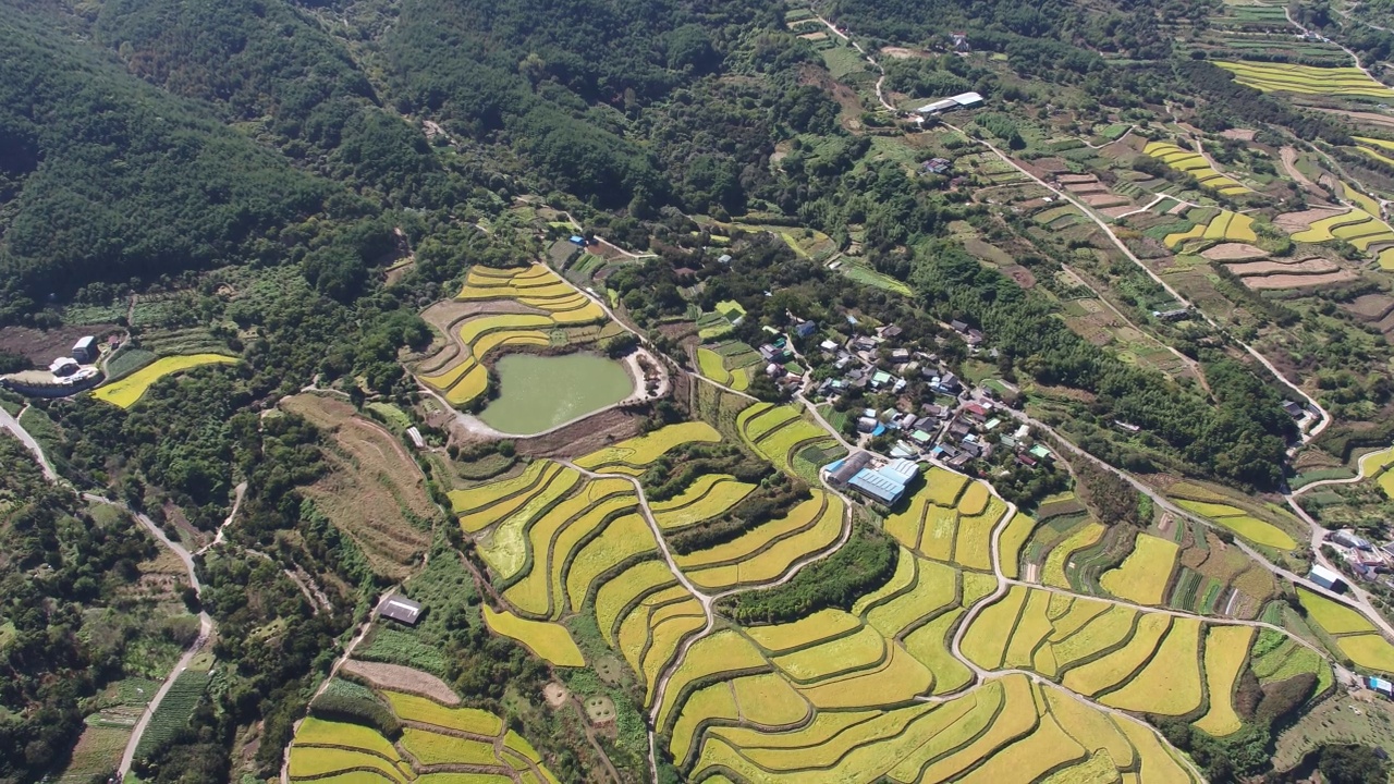 韩国全罗南道古礼郡山东郡萨波村的梯田秋景视频素材